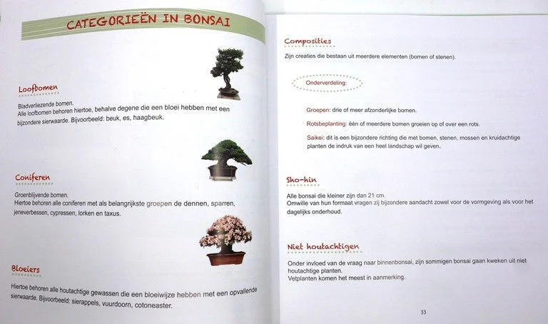 Productafbeelding 3