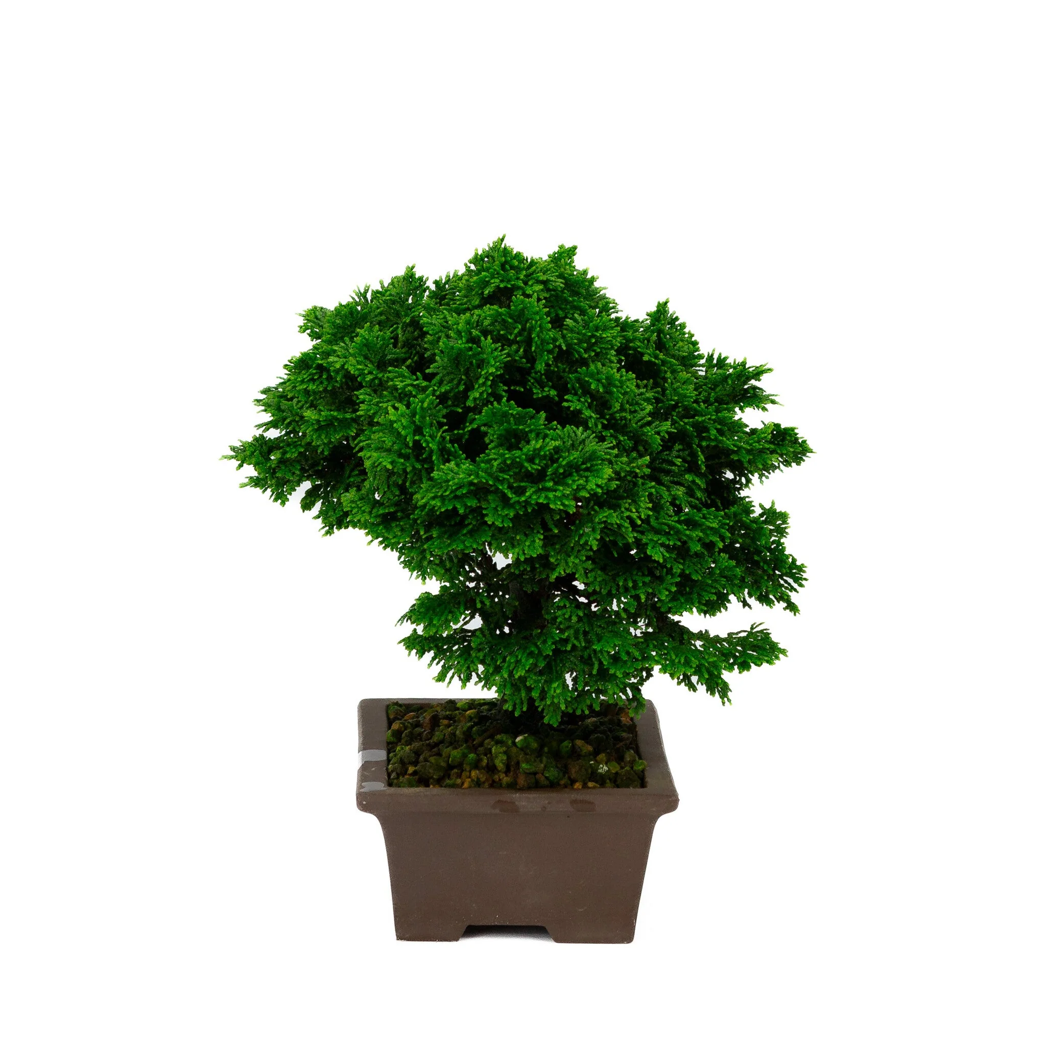 Productafbeelding 4