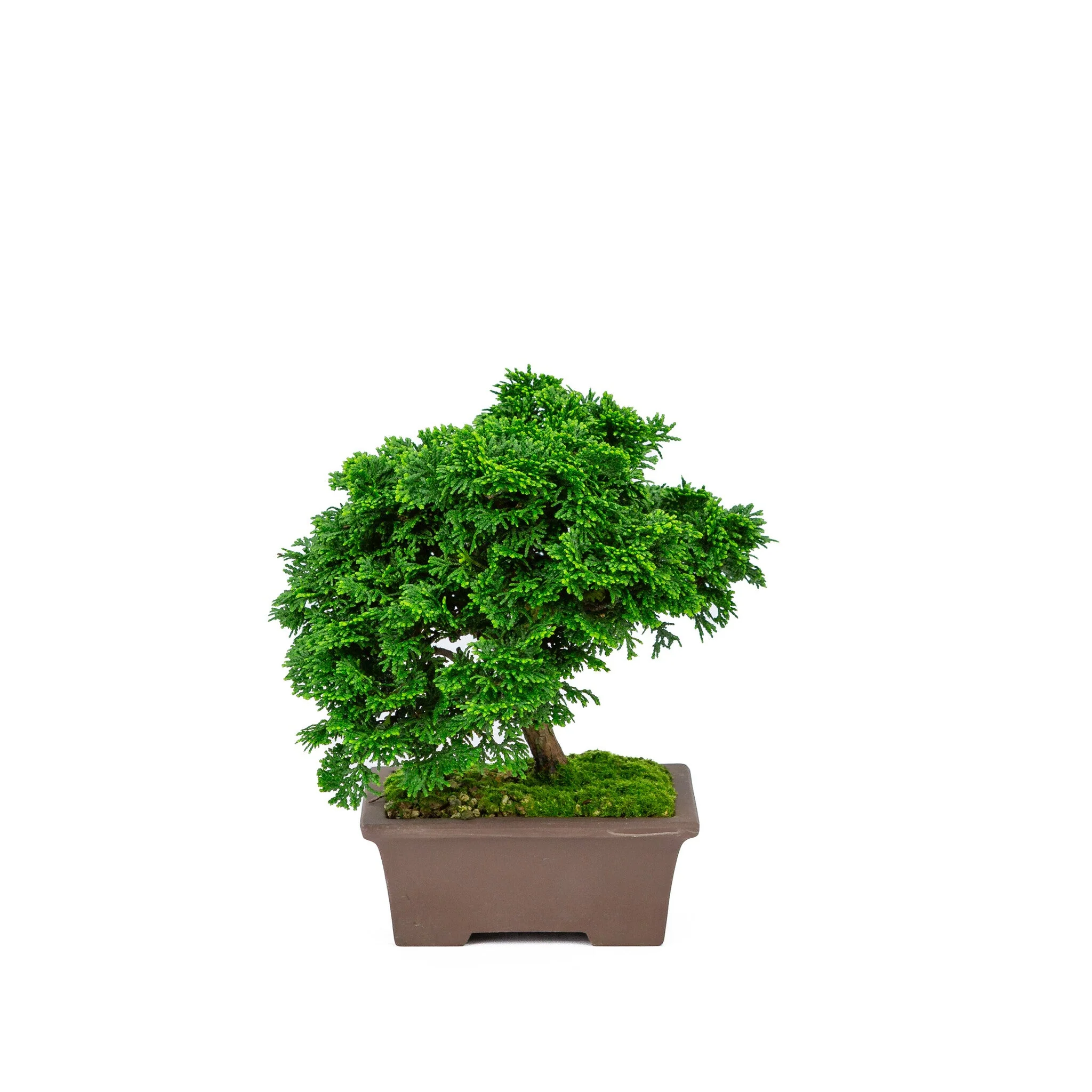 Productafbeelding 3