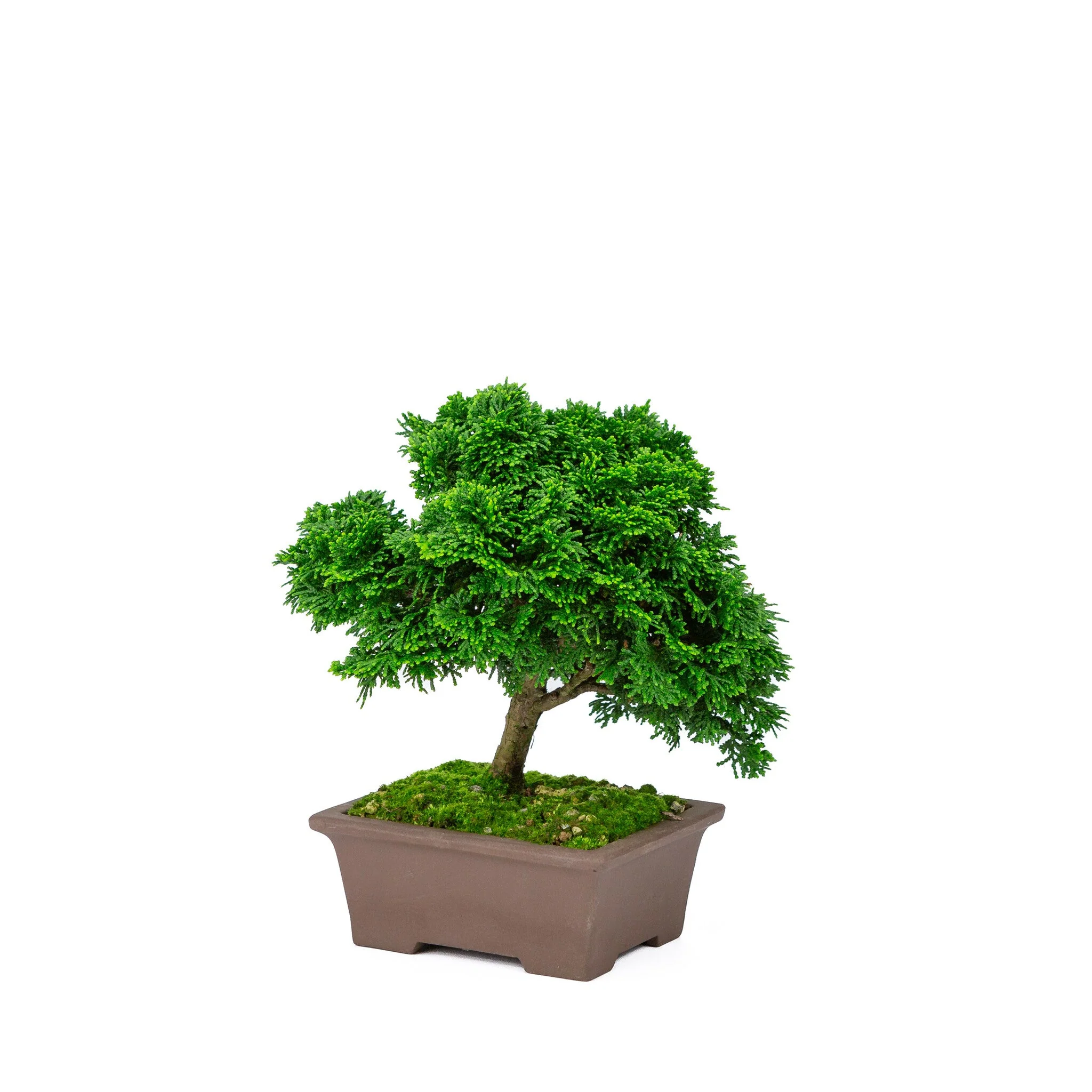 Productafbeelding 5