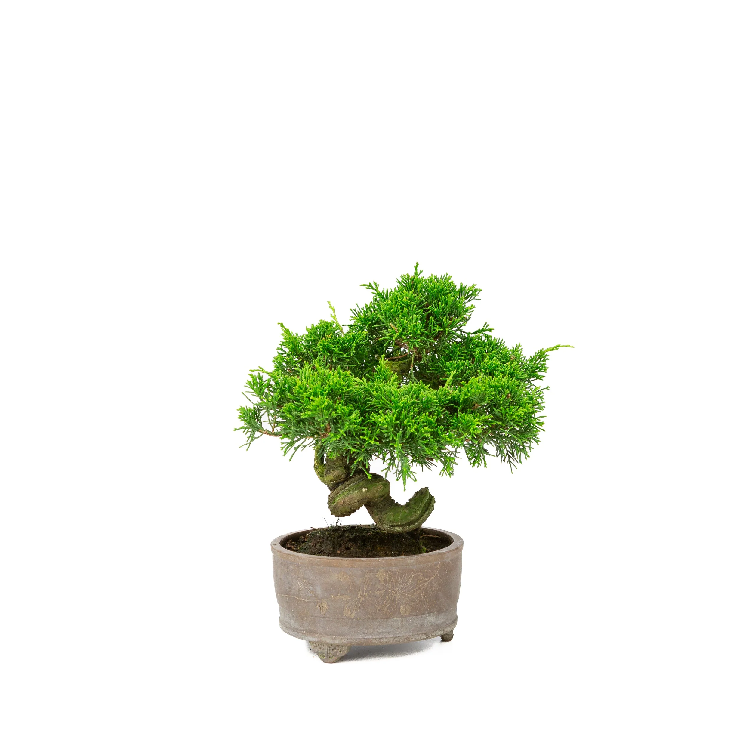 Miniatuur 2