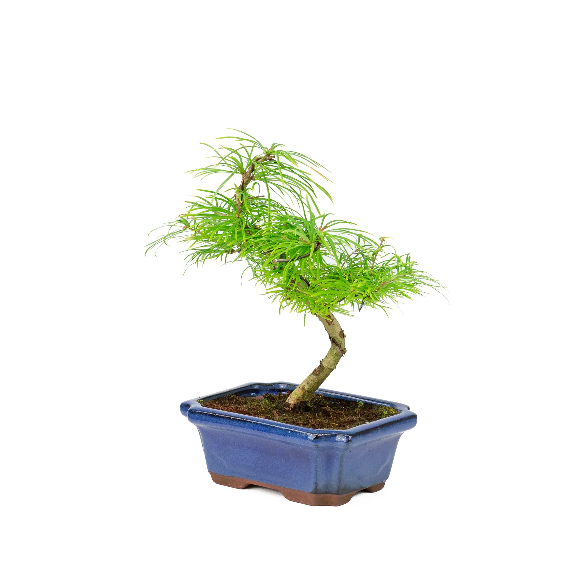 Productafbeelding 3